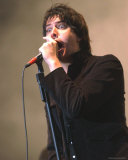 The Strokes