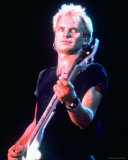 Buy Sting at AllPosters.com