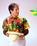 Buy Robin Williams at AllPosters.com