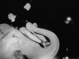 Celeste Holm at a Charity Show Put on by Hollywood Stars with Ringling Brothers Barnum and Bailey Premium Photographic Print