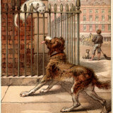 Kronheim's of a Dog Going After Grilda, a White Cat on a Fence, from 