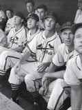 Buy Stan Musial St. Louis Cardinals Most Outstanding Player Following Foul Ball from Bench at AllPosters.com