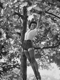 Buy Eartha Kitt Playing in the Tree at AllPosters.com