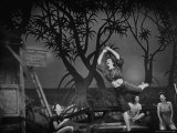 Scenes from the Play 