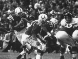 Game Between the Baltimore Colts Vs. the Chicago Bears