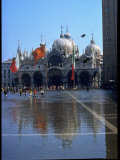 Buy People Walking Through a Flooded Piazza San Marco at AllPosters.com