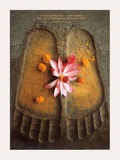 Thich Nhat Hanh, I Have Arrived