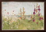 Hollyhocks by the Sea