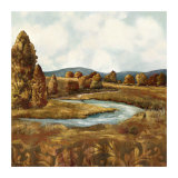 Landscape Vista I