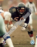Mike Singletary