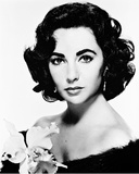 Buy Elizabeth Taylor at AllPosters.com