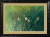 Buy Summer Sparrows at AllPosters.com
