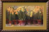 Buy Janine's Daffodils at AllPosters.com