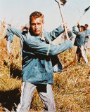 Buy Paul Newman at AllPosters.com