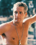 Buy Paul Newman at AllPosters.com