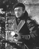 Buy David Niven at AllPosters.com