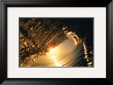 Buy Golden Sunrise Curl at AllPosters.com