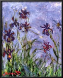 Buy Irises at AllPosters.com