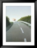 Buy Autobahn Pig at AllPosters.com