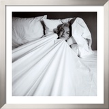 Buy Marilyn in Bed at AllPosters.com