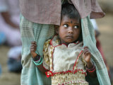 Buy A Displaced Tamil Child Hangs to Her Father's Sarong at AllPosters.com