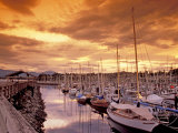 Buy Boats at Sunset, Comox Harbor, British Columbia at AllPosters.com