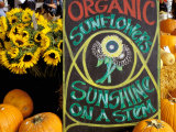 Buy Organic Sunflowers and Pumpkins, Ferry Building Farmer's Market, San Francisco, California, USA at AllPosters.com