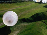 Buy Zorbs People Moving Inside Balls on Lawn, Rotorua, New Zealand at AllPosters.com