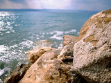 Rocky Shoreline with Salt Crystals, Dead Sea, Jordan