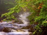 Flowing Streams Along the Appalachian Trail, East Arlington, Vermont, USA