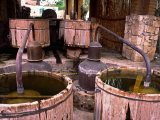Mezcal Distillery in Santiago Matatlan, Los Danzantes, Matatlan, Oaxaca, Mexico
