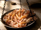 Buy Shrimp at Open Fish Market, Sibenik, Croatia at AllPosters.com