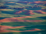 Palouse Region From Steptoe Butte, Whitman County, Washington, USA