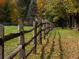 Fenceline, East Arlington, Vermont, USA
