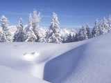 Buy Snow Scene in Austrian Alps at AllPosters.com