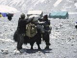 A Yak'Sdays Work, Nepal