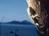 Buy Tokay Gecko, Krakatoa, Indonesia at AllPosters.com