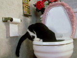 Buy Tuxedo Cat Drinking from Toilet at AllPosters.com