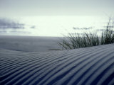Sand Dune, New Zealand