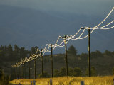 Buy Power Lines by Road Side Reflecting Evening Light, New Zealand at AllPosters.com