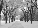 Winnipeg Manitoba, Canada Winter Scenes