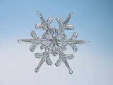 Buy Snowflake, Close Up at AllPosters.com