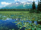 Buy Lake in Alaska on Kenai Peninsular Near Seward, Alaska at AllPosters.com
