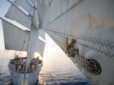Detail of Star Clipper Sails, Netherlands Antilles