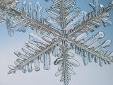Buy Snowflake, Close Up at AllPosters.com