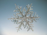 Buy Snowflake, Close Up at AllPosters.com