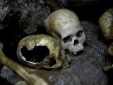 Skulls and Bone, Indonesia