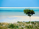Buy Waters of Lagoon of Detwah, Yemen at AllPosters.com