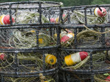 Crabbing Nets in Tee Harbor, Juneau, Southeast Alaska, Alaska, USA