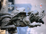 Gargoyle at Roof of Duomo, Milan, Italy Photographic Print